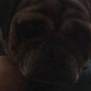 Meet your Posher, Denise